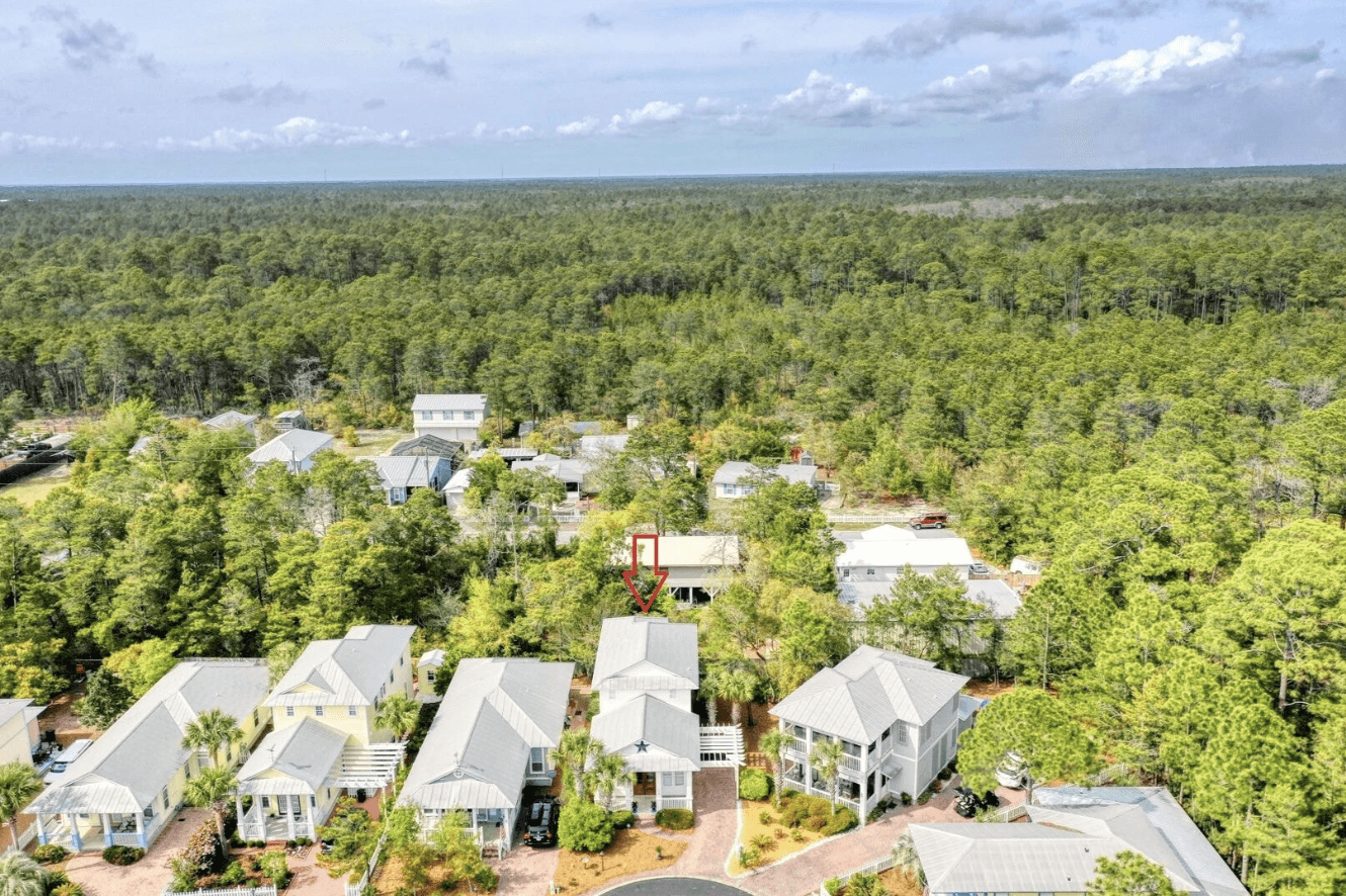 Stars and Stripes - Image 25