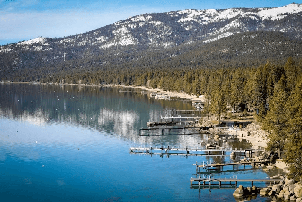 Peace Among Pines  - Image 3