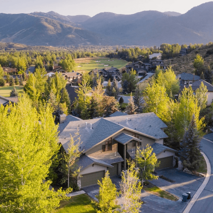 Conifer Nest - Image 1