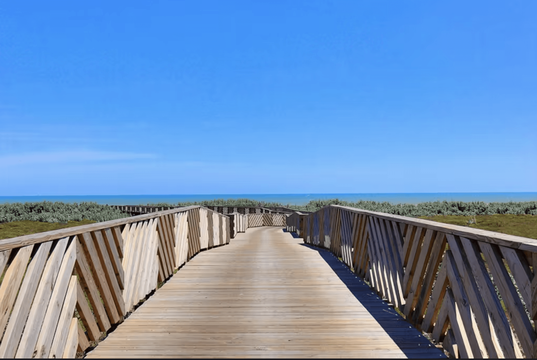 Parrots Cove - Image 35