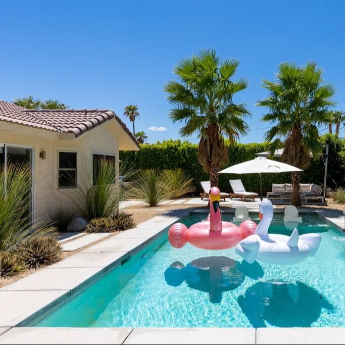 Lux Palmas - Image 1