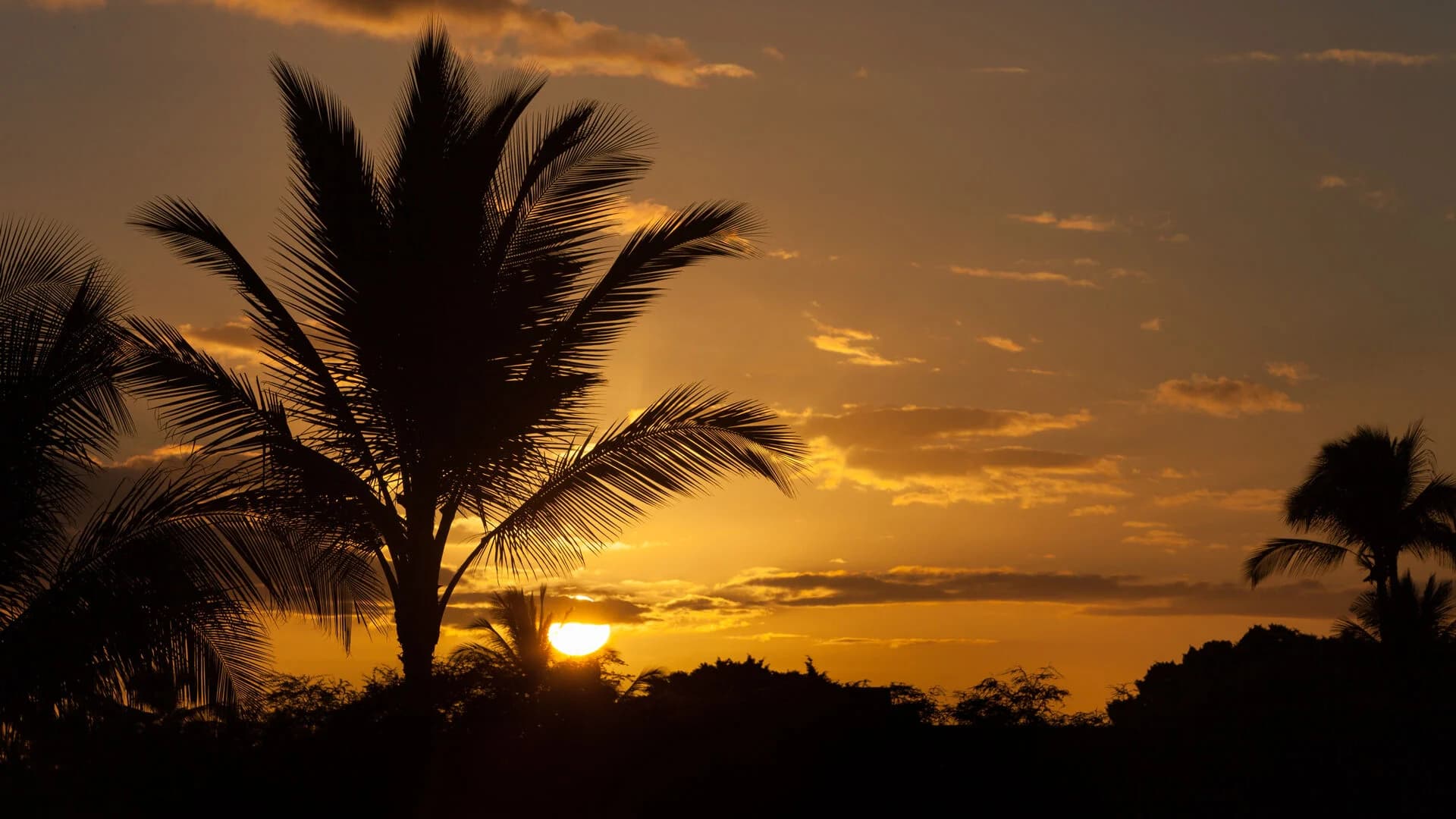 Sea Glass House - Image 50