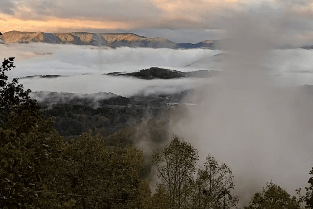 Black Bear Cabin - Image 35