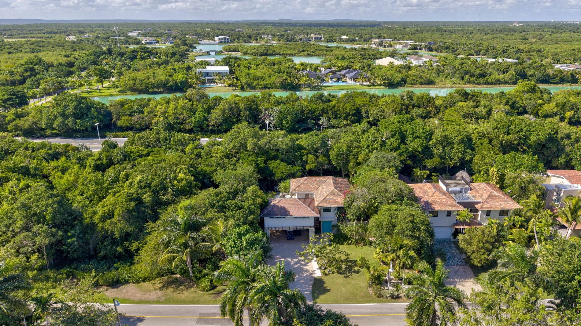 Tortuga #B55 - Image 32