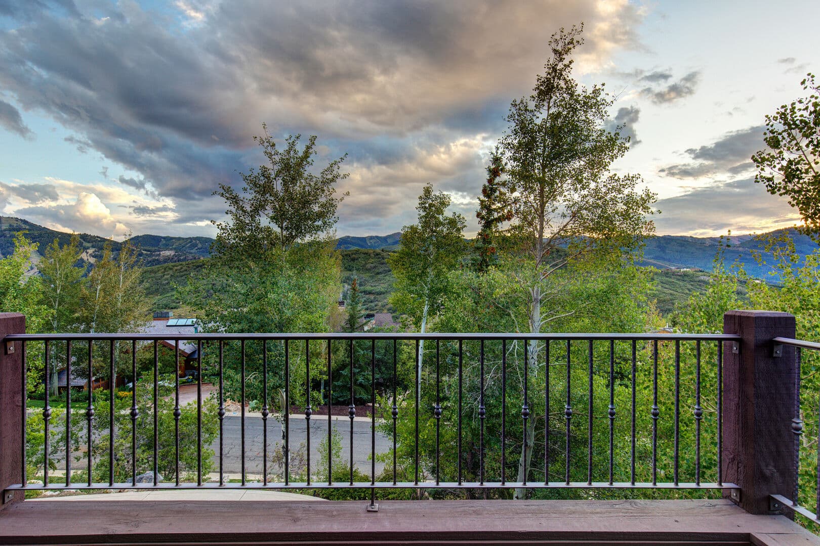 Majestic Bluebird - Image 37