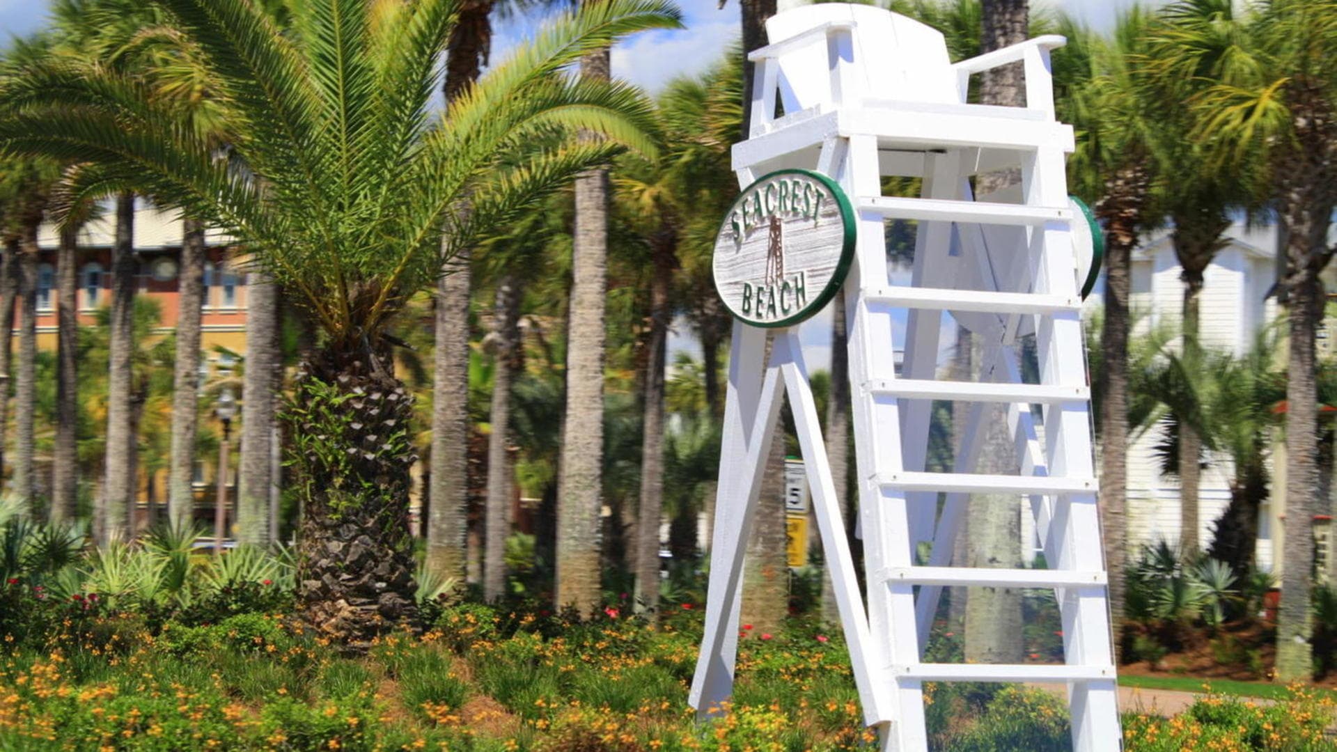 Family Ties - Image 33