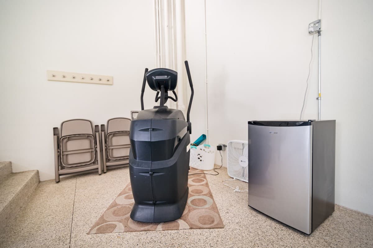 Caribbean Dream #313 - Image 5