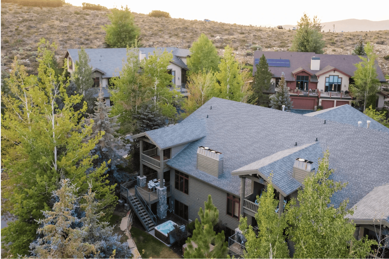 Conifer Nest - Image 34