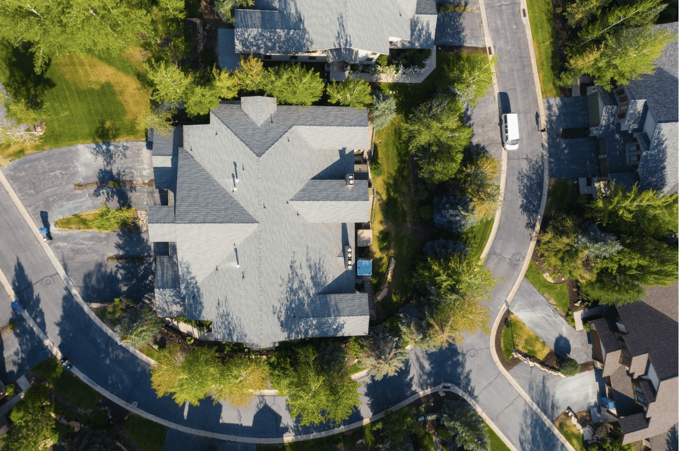 Conifer Nest - Image 32