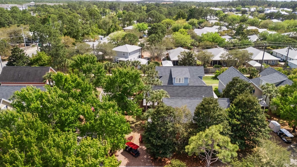 Coral Starfish - Image 33