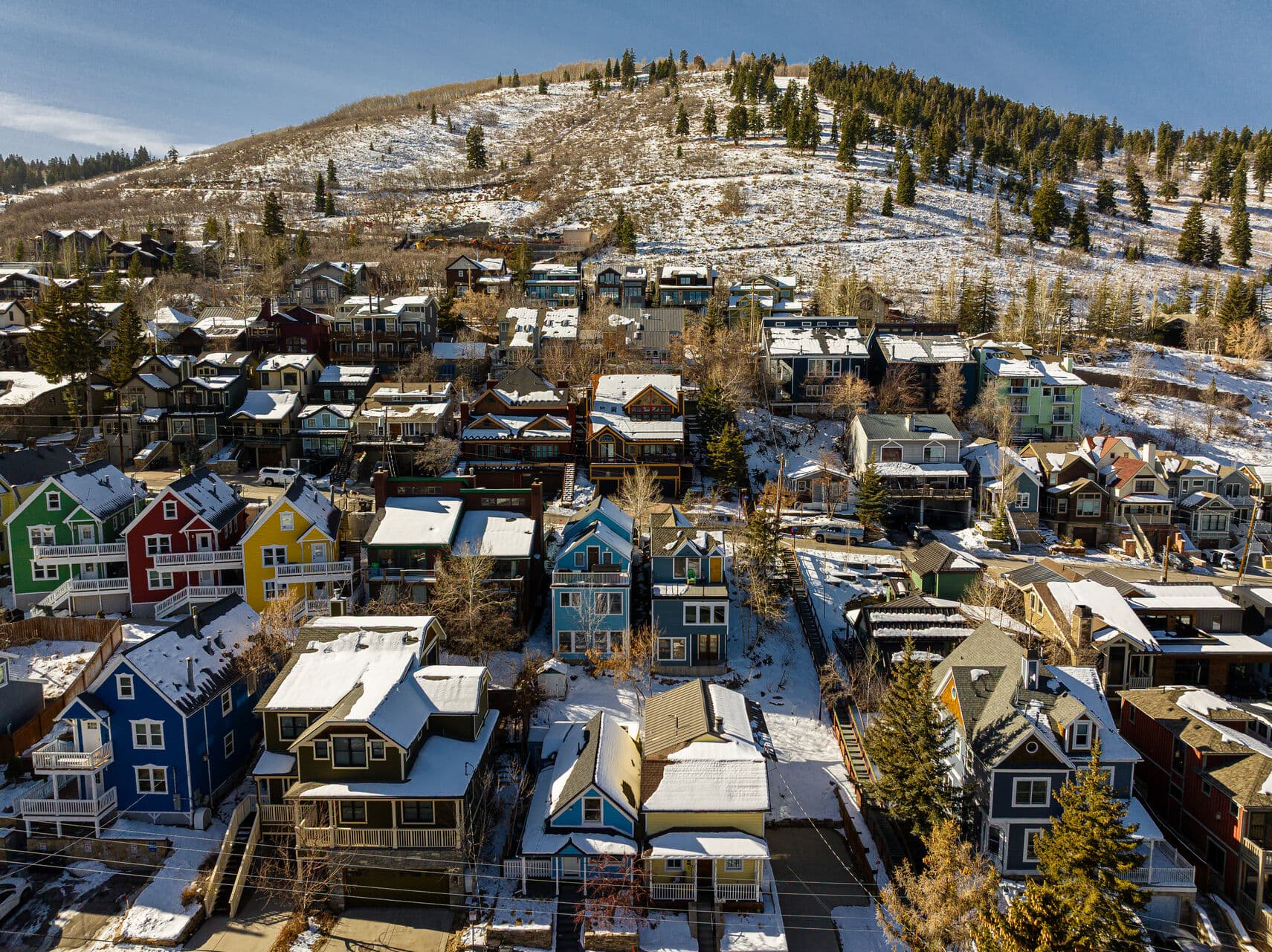 Park City Birdhouse - Image 3