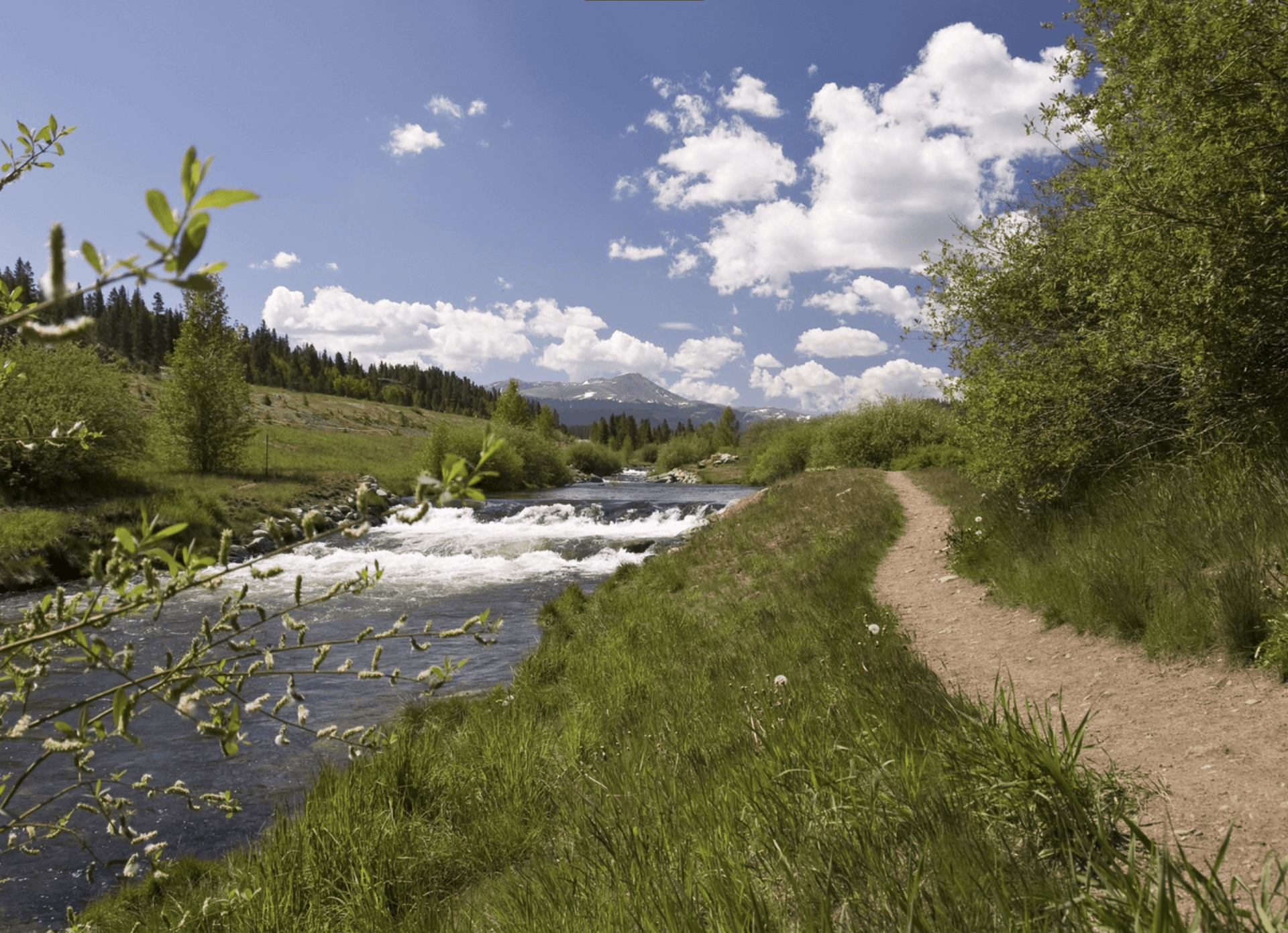 Vista Ridge - Image 38