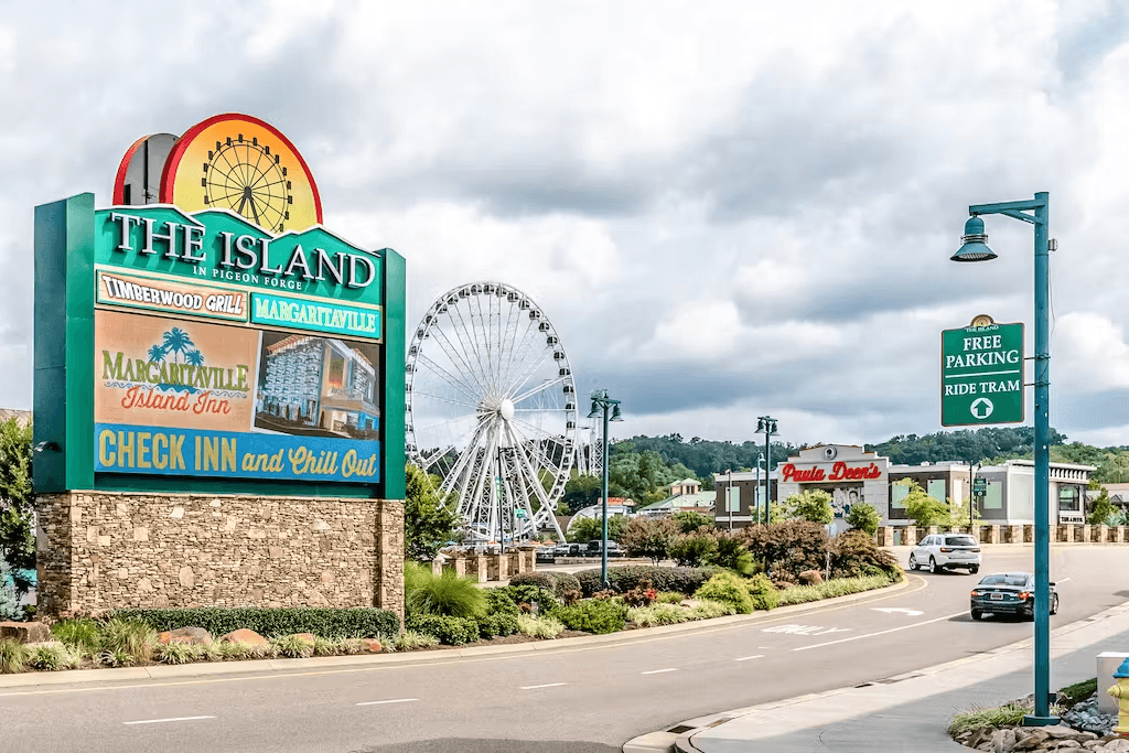 Bear Tracks - Image 34