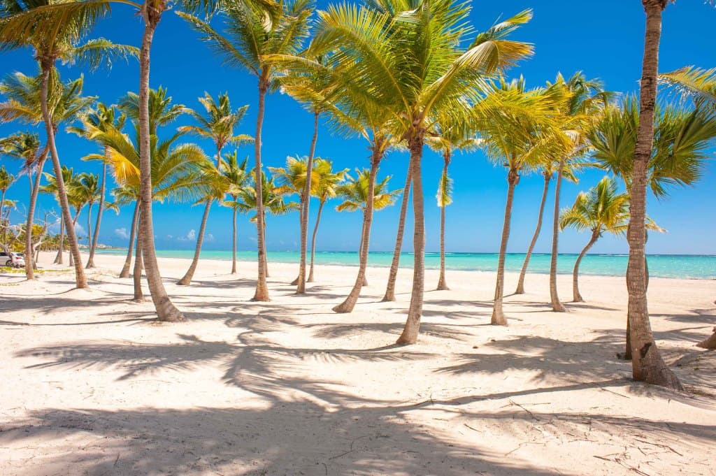 Las Hamacas - Image 33