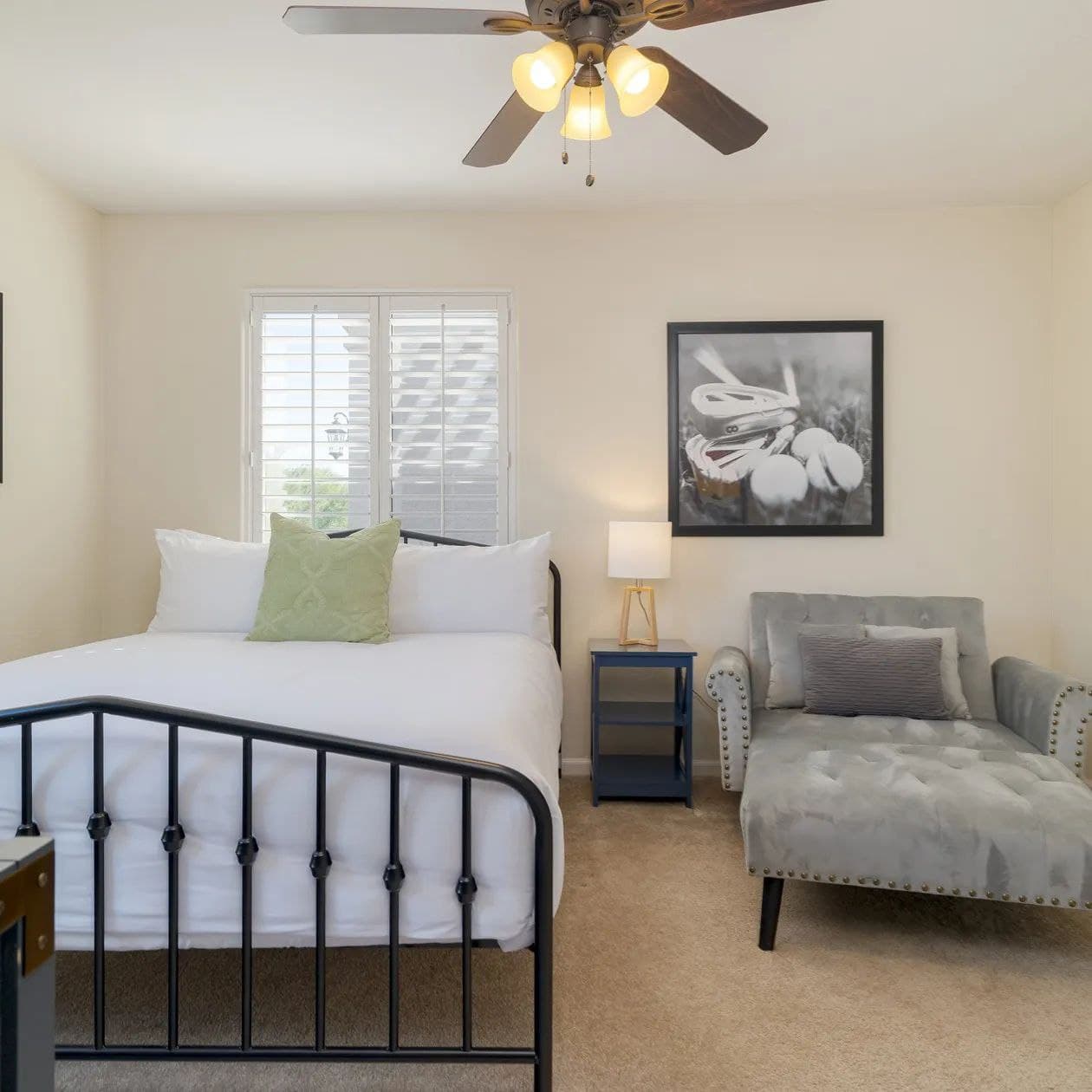 Sonoran Sunshine - Image 23