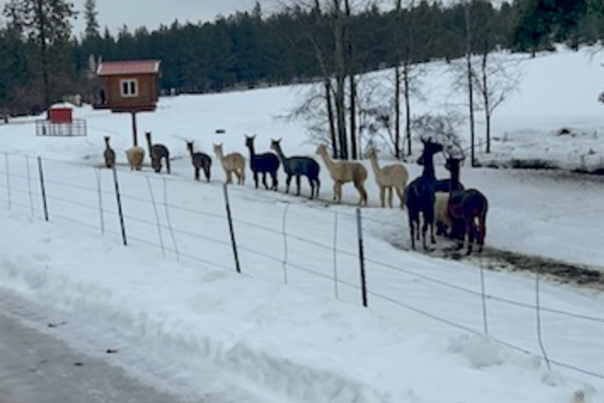 Lake View Getaway - Image 33