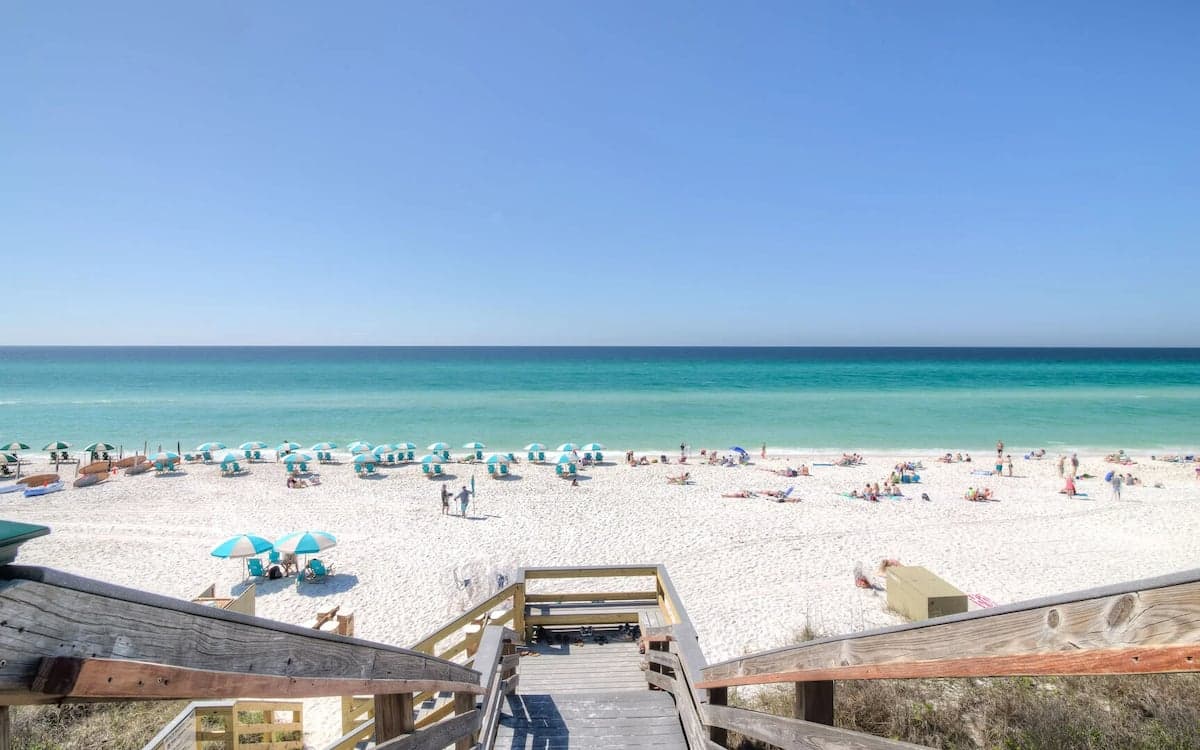 Good Day Sunshine - Image 28