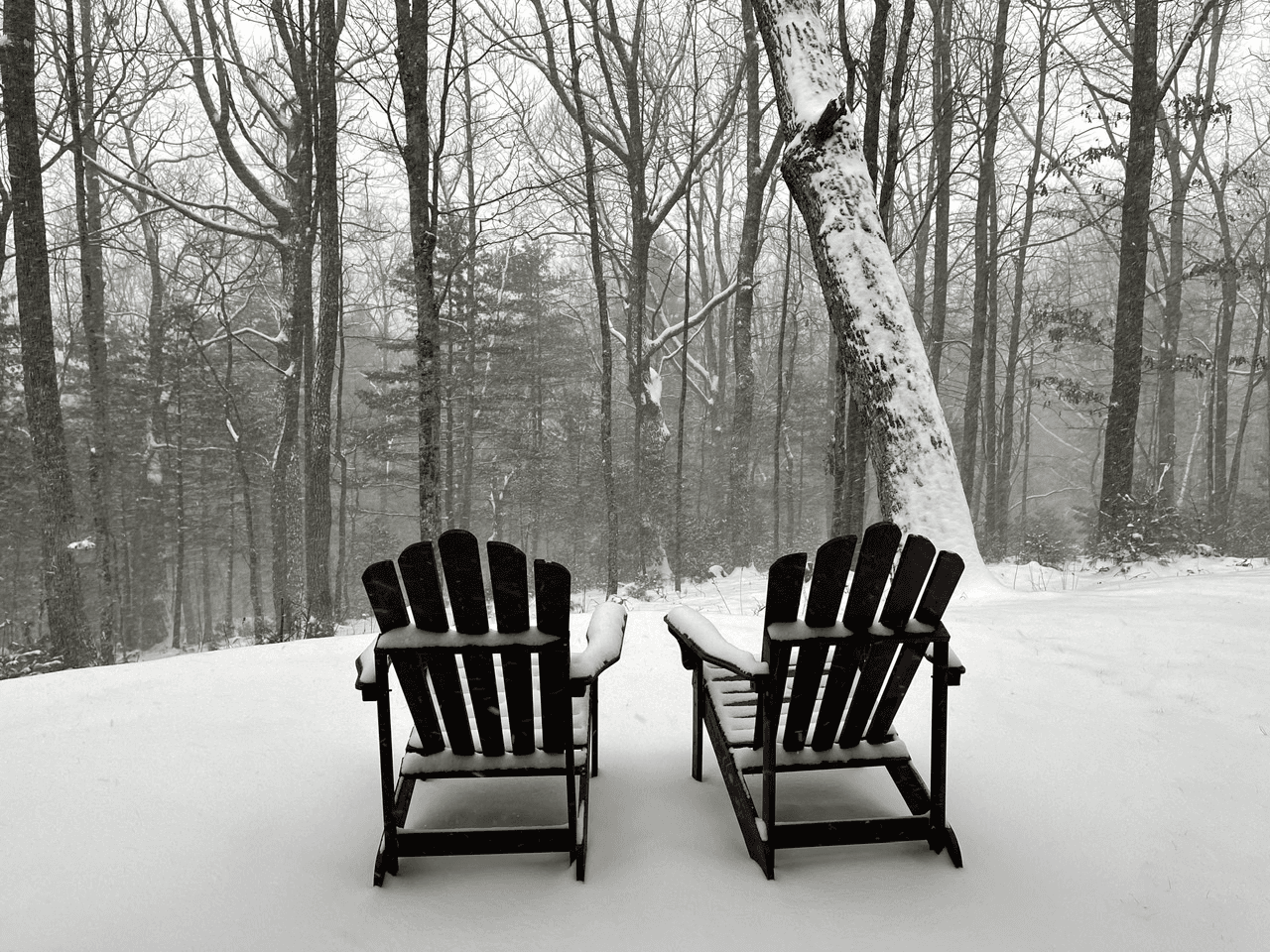 Bearadise at Blue Ridge - Image 33