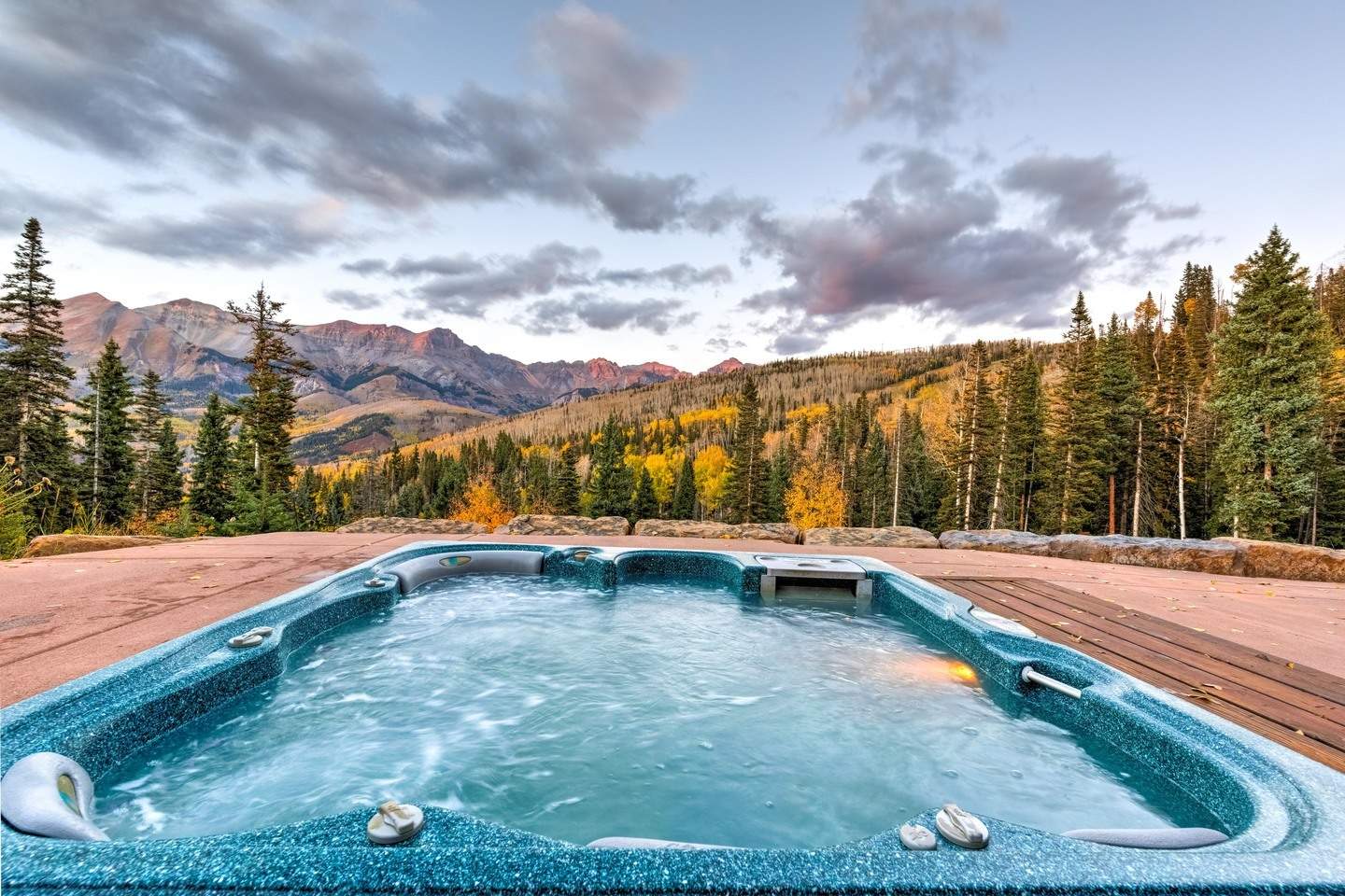 Dancing Bear - Image 24