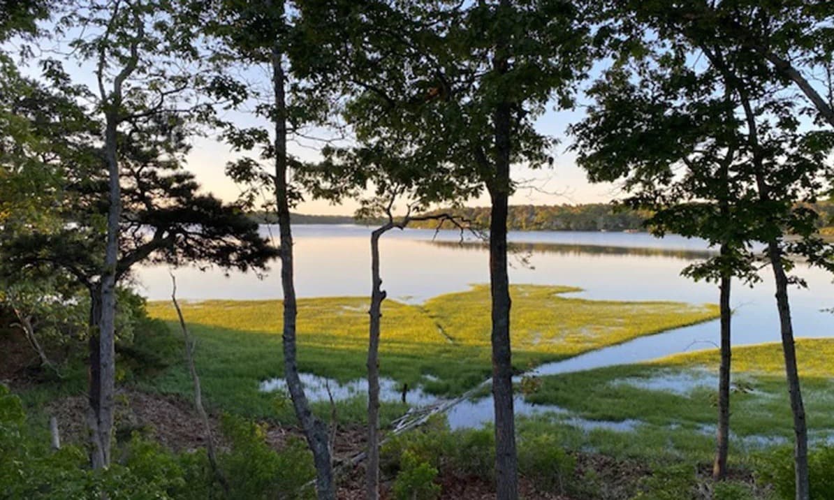 Bass River Lookout - Image 40