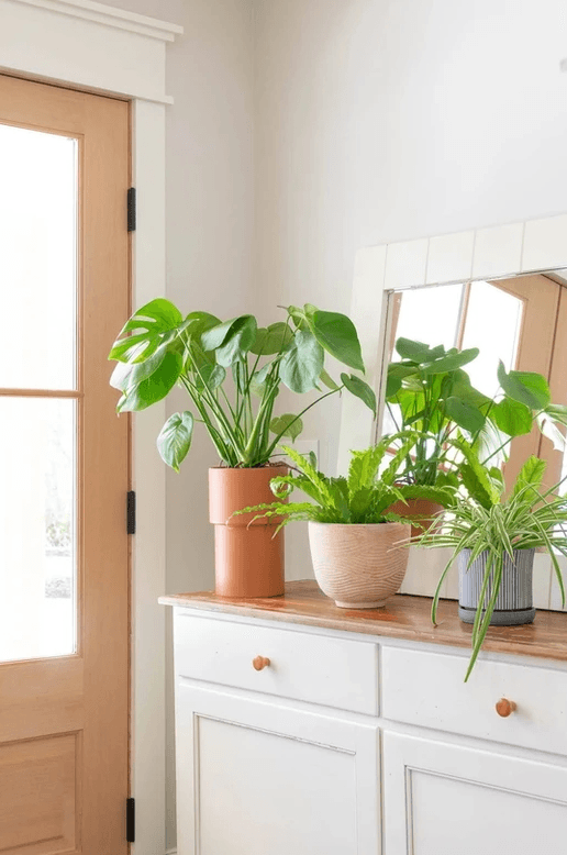 Modern Farmhouse - Image 4