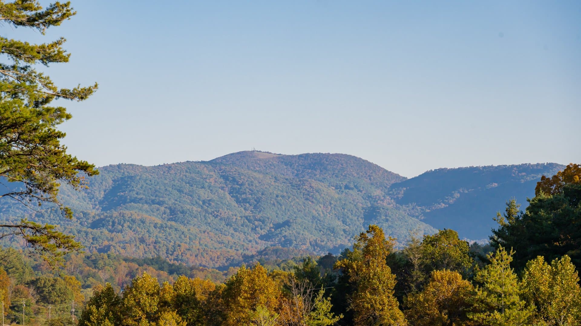 Magnolia Mountain Home - Image 27