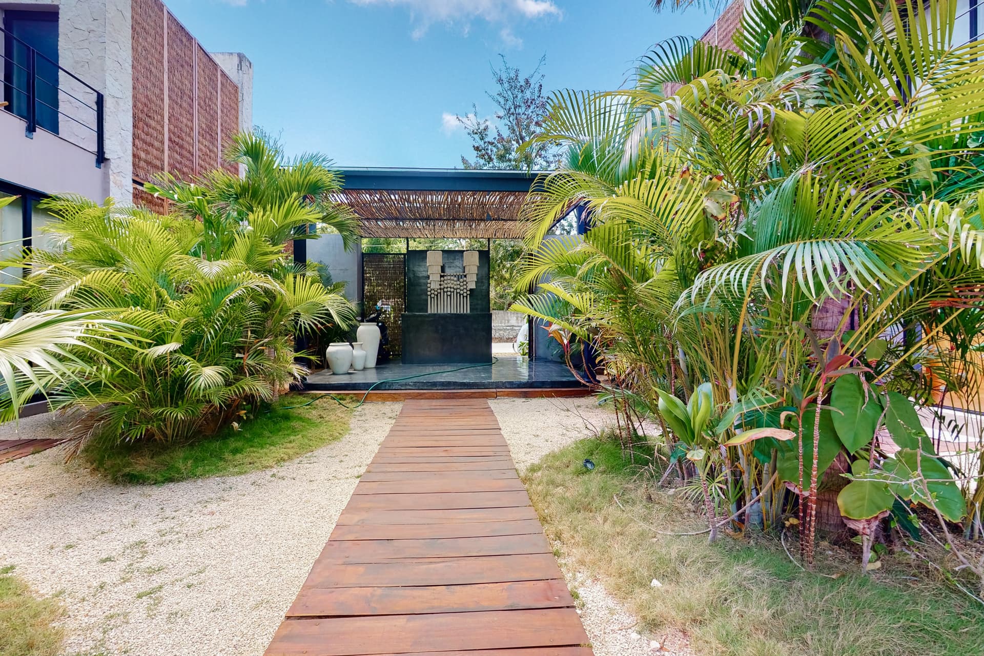 Fronds and Sun - Image 18