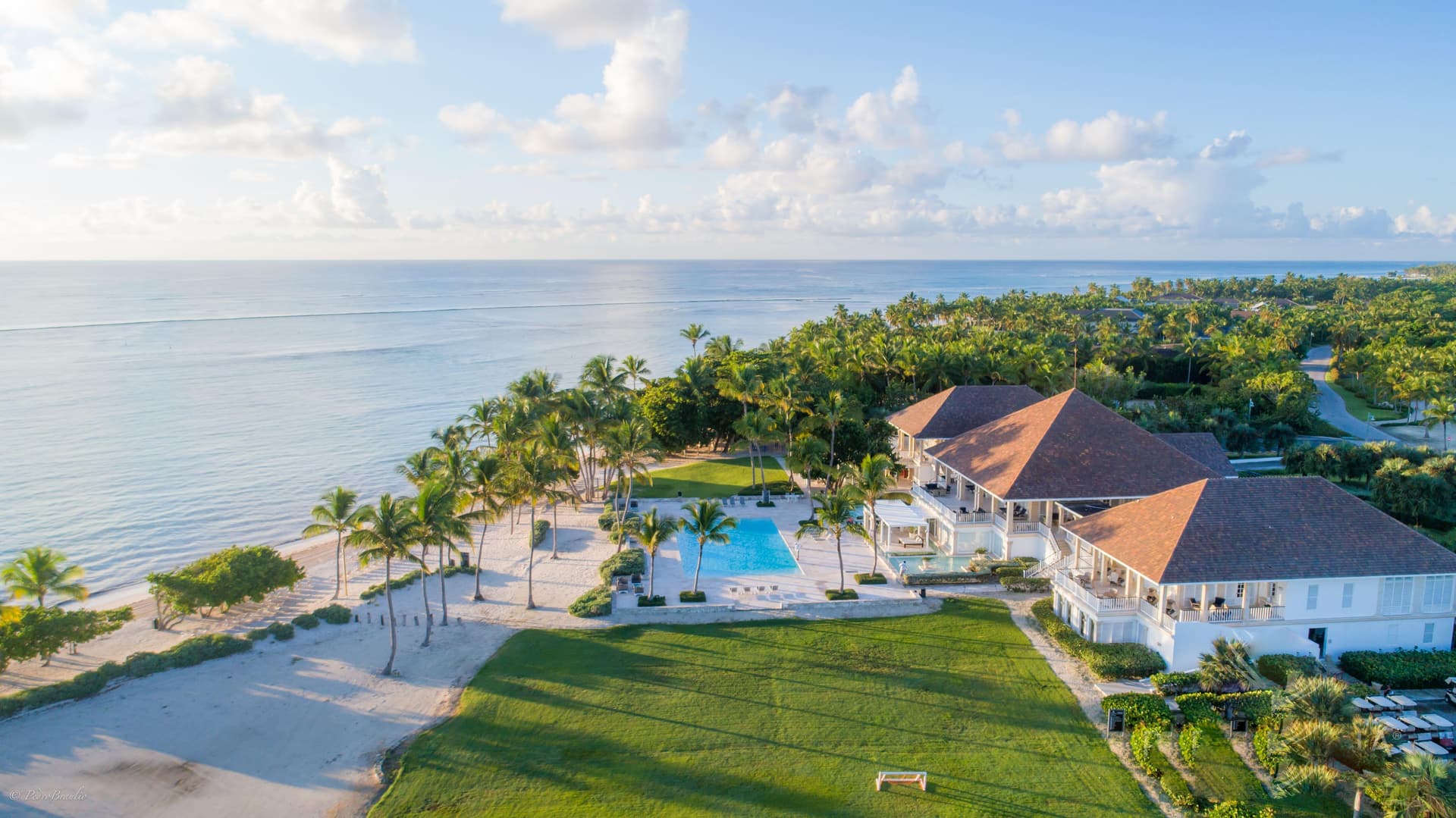 Tortuga Azul - Image 3