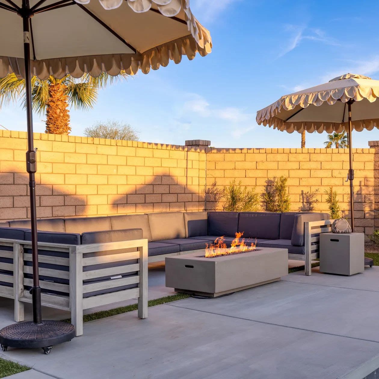 Desert Eden - Image 3