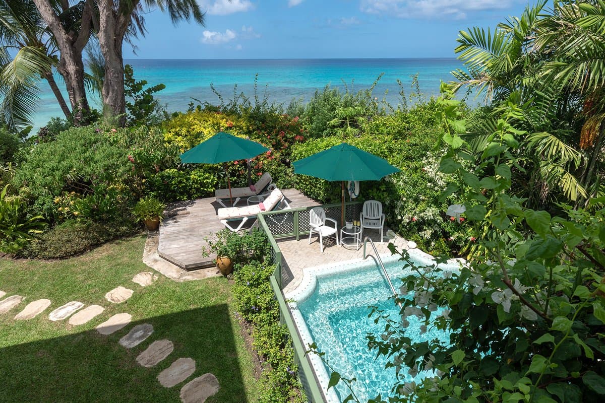 Banana Leaf Place - Image 2