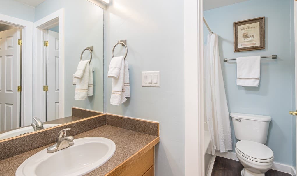 Aurora Lights - Image 17