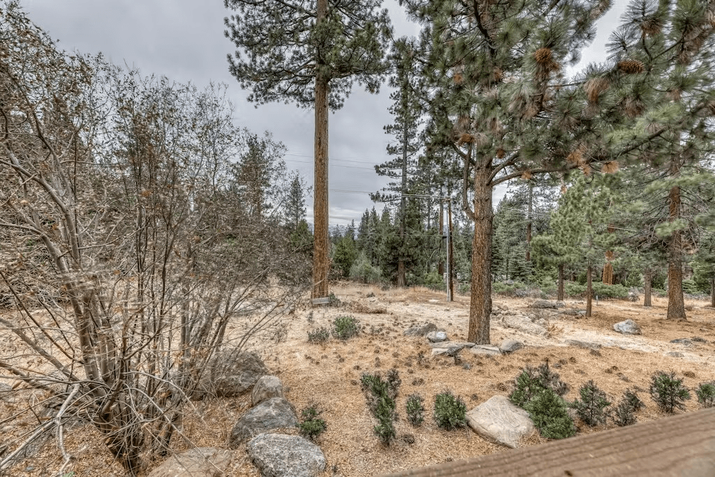 Fabian Holidays - Image 29