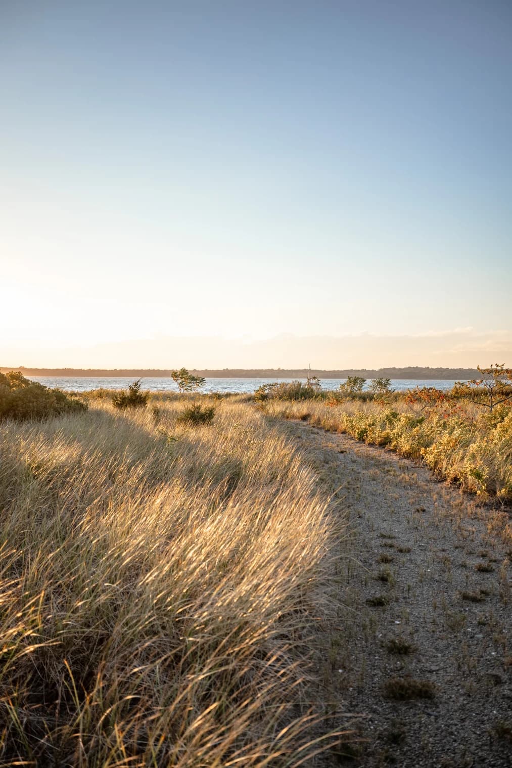 Brill Beach - Image 56