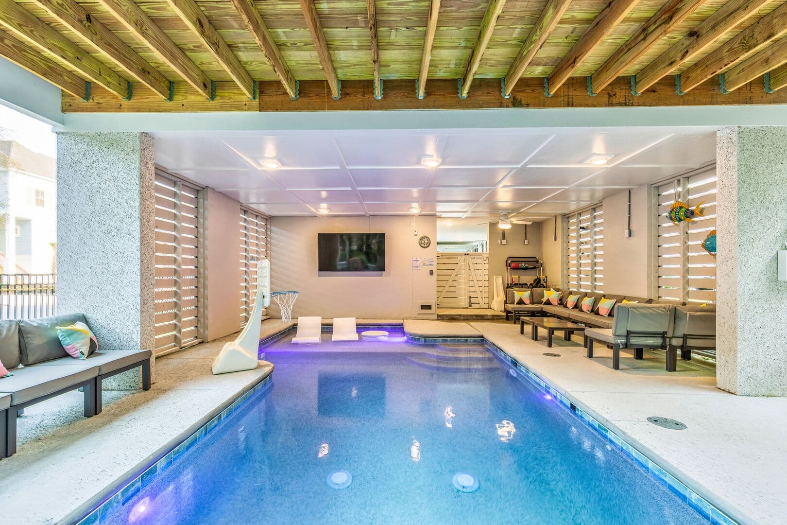 Turtle Tides - Image 2