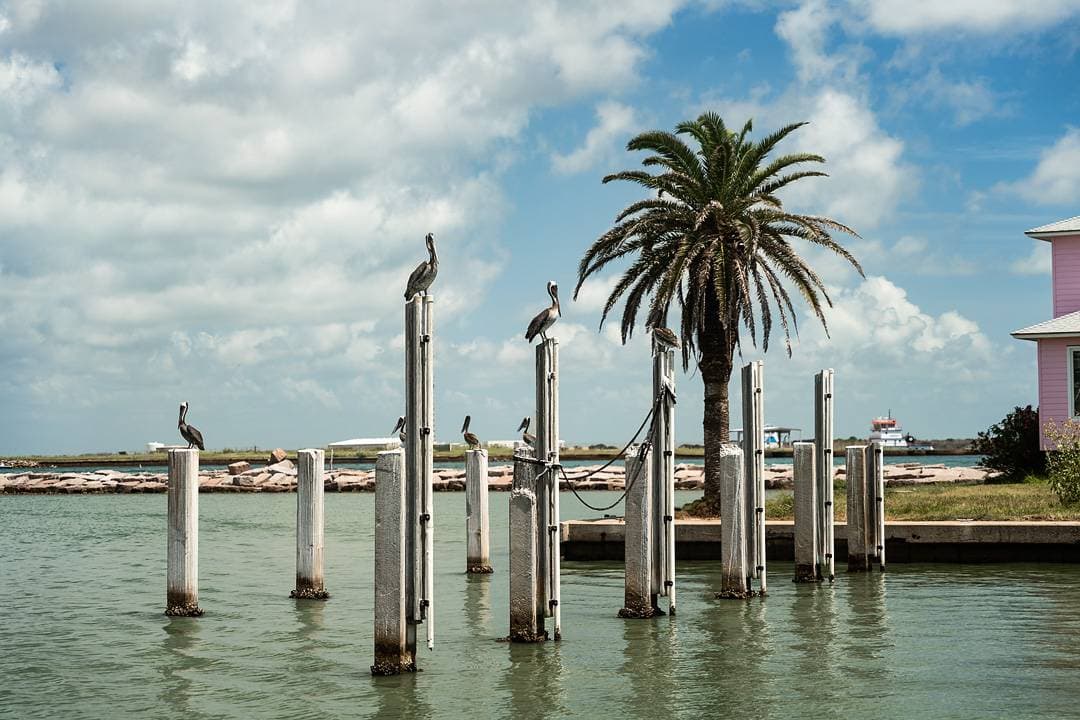 Sol Mates - Image 40