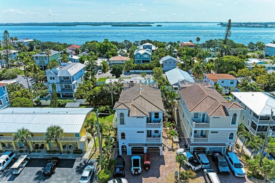 Island Nautilus - Image 3