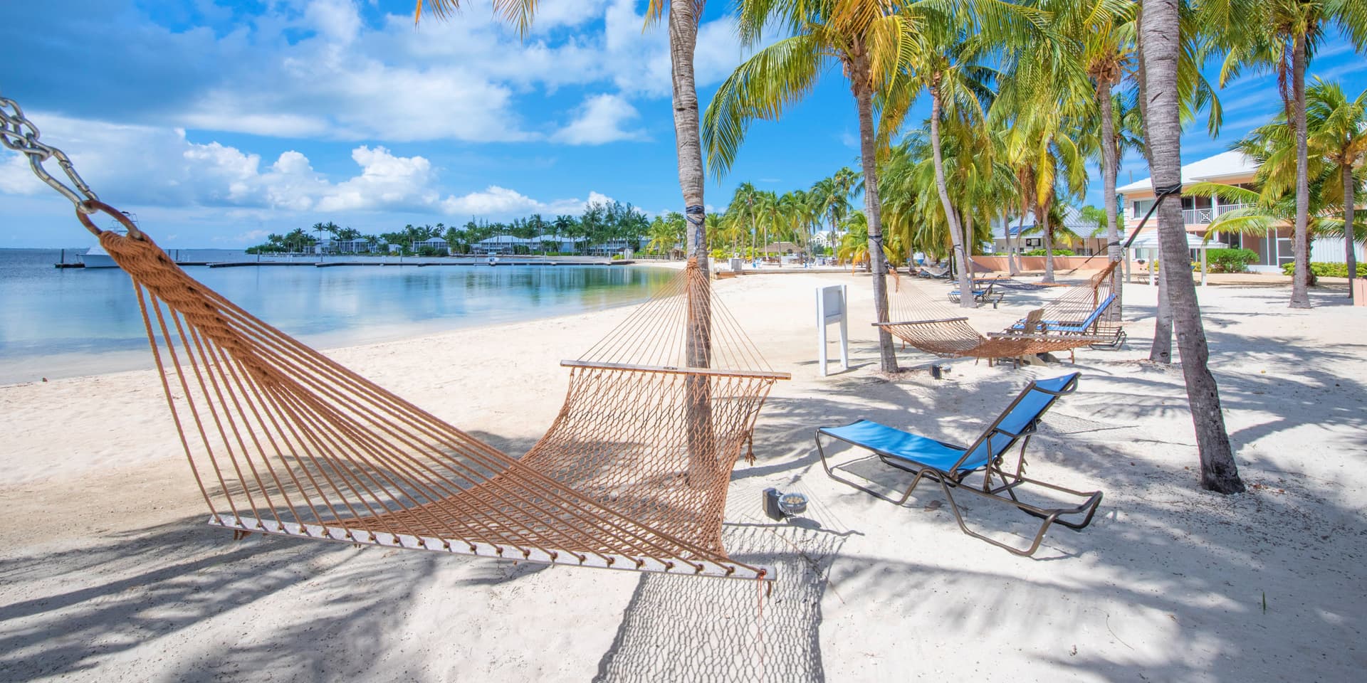 Starfish Kai - Image 5