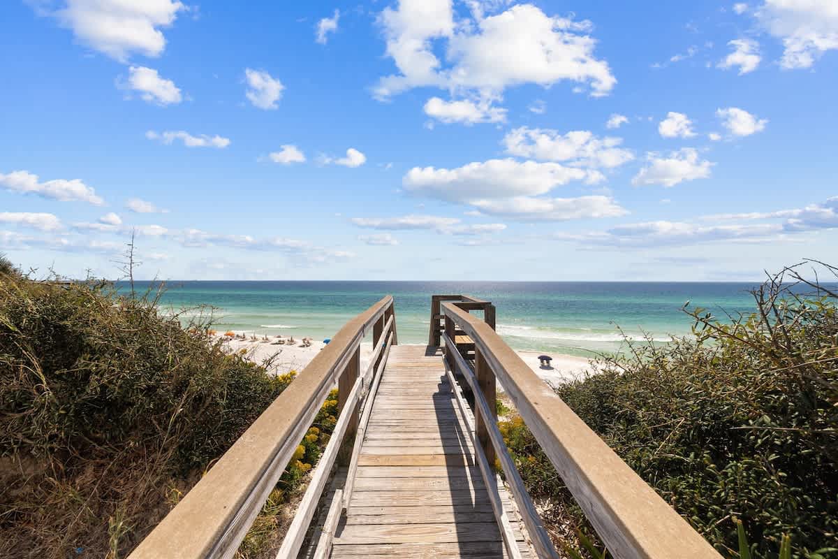 Southern Tides - Image 2