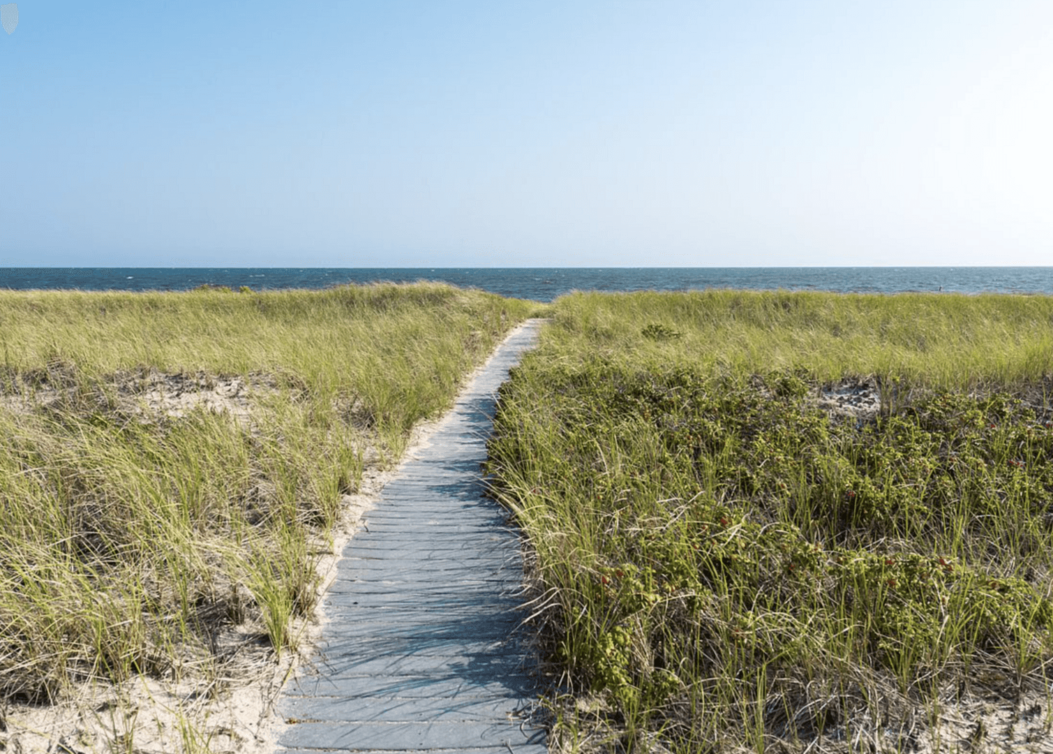 Shore Thing - Image 32