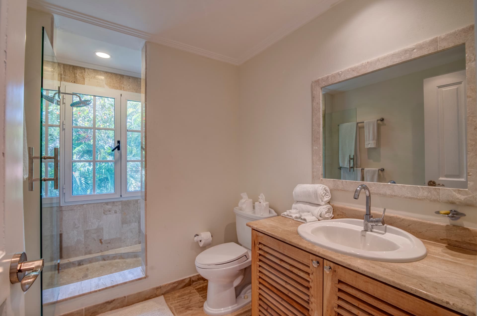 Tortuga #B28 - Image 9