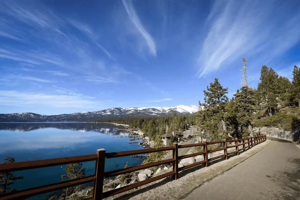 Peace Among Pines  - Image 21