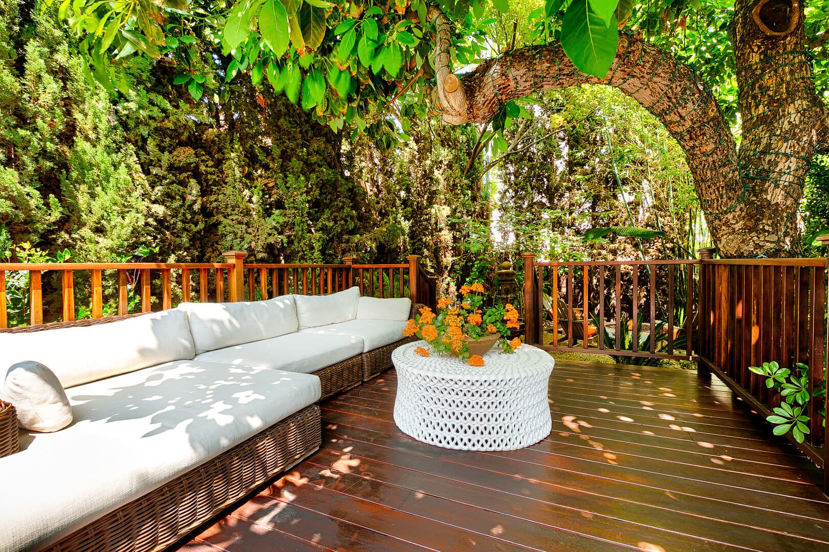 Olive Branch - Image 29