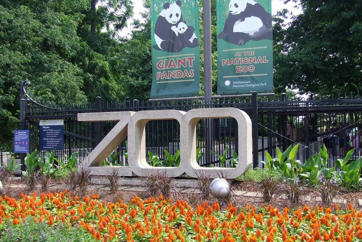 Woodley Residence - Image 12