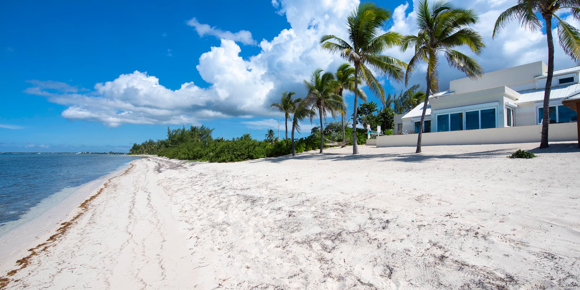 Coral Haven - Image 5