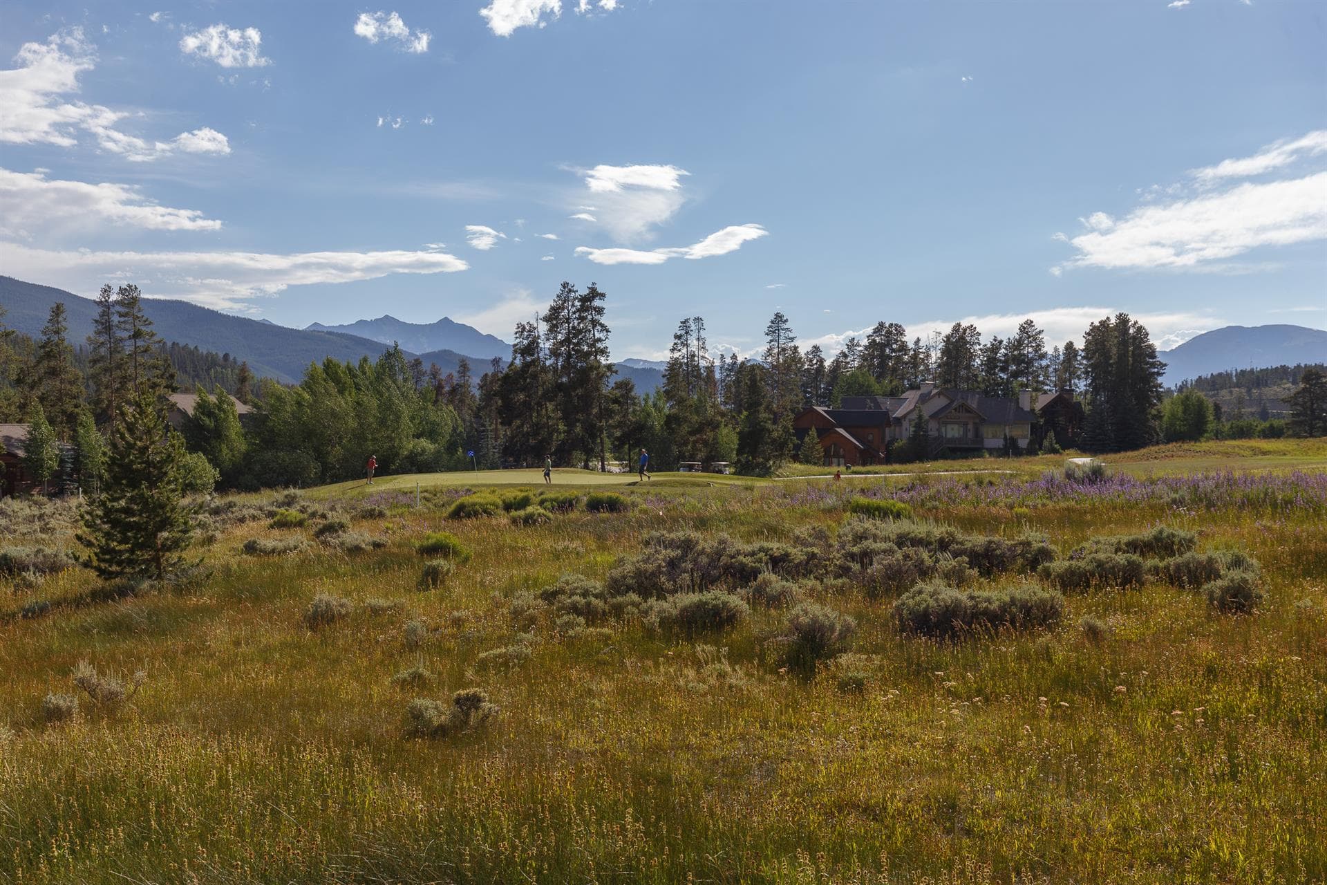 Peaceful Sanctuary - Image 46