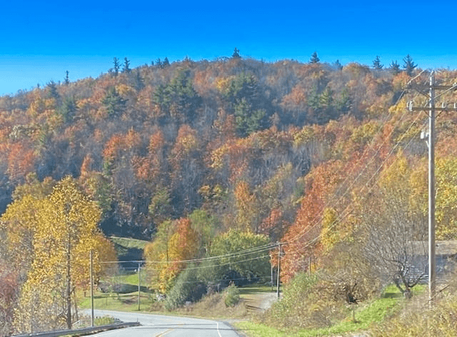 Halftime Haus - Image 47