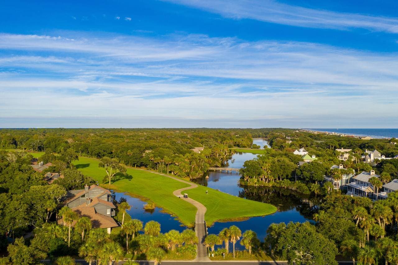 Turtle Point #4984 - Image 3