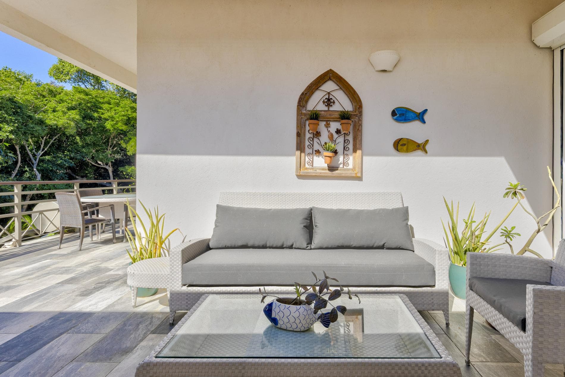 Tortuga #B55 - Image 13