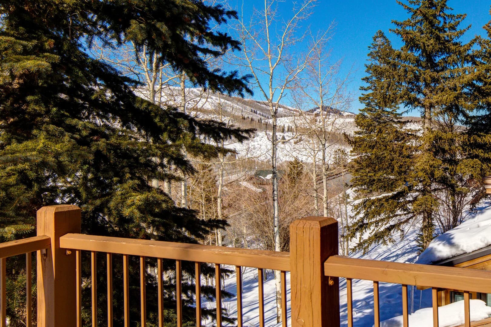 Belle Home - Image 43