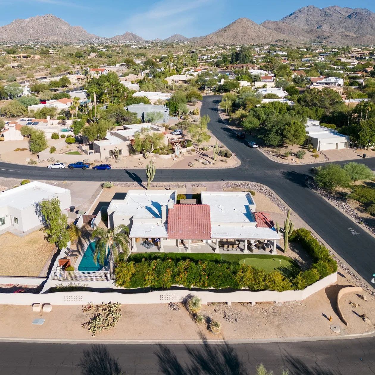 Sonoran Sunshine - Image 3